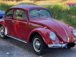 Rot Gebraucht 1964 VW Käfer Limousine | 9.500 €