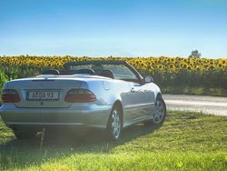 Silber metallic Gebraucht 2001 Mercedes CLK200 Avantgarde Cabrio | 6.000 € (Fairer Preis)