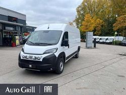 Weiß ducato weiß Gebraucht 2025 Fiat Ducato Van | 49.576 € (Guter Preis)