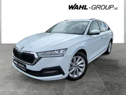 Weiß Gebraucht 2024 Skoda Octavia Selection Kombi | 29.900 € (Fairer Preis)