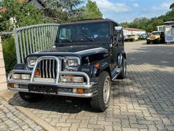 Schwarz Gebraucht 1993 Jeep Wrangler SUV | 16.685 €