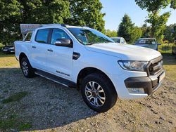Frozen white Gebraucht 2019 Ford Ranger Wildtrack Abholung | 19.000 € (Guter Preis)