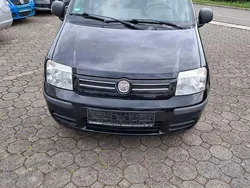 Schwarz Gebraucht 2010 Fiat Panda Dynamic Kleinwagen | 1.700 € (Superpreis)