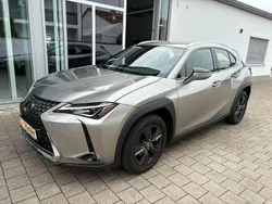 Grau Gebraucht 2020 Lexus UX 200 Launch Edition SUV | 21.900 €
