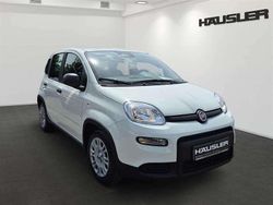 Gelato weiß Gebraucht 2024 Fiat Panda Kleinwagen | 14.880 € (Etwas zu teuer)