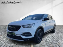 Weiß Gebraucht 2019 Opel Grandland X SUV | 12.407 € (Guter Preis)