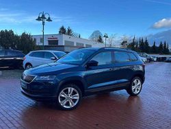 Blau Gebraucht 2019 Skoda Karoq Style SUV | 24.980 € (Etwas zu teuer)