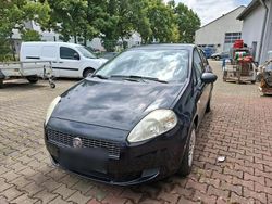 Gebraucht 2008 Fiat Punto Kleinwagen | 1.499 € (Teuer)