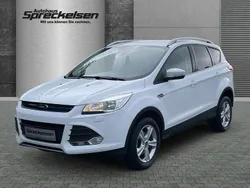 Frost weiß Gebraucht 2016 Ford Kuga SYNC Edition SUV | 10.990 € (Guter Preis)