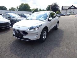 Arktisweiss Gebraucht 2022 Ford Kuga Titanium X SUV | 22.490 € (Guter Preis)