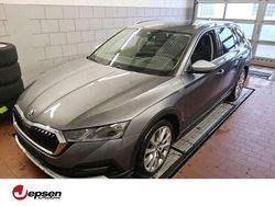 Graphitegrau metallic Gebraucht 2023 Skoda Octavia Scout 4x4 Kombi | 29.970 € (Fairer Preis)