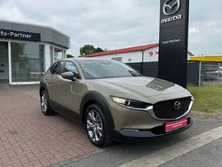 Grün Neu 2025 Mazda CX-30 Center-Line SUV | 30.990 €