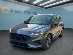 Grau Gebraucht 2023 Ford Kuga ST-Line SUV | 32.199 € (Teuer)