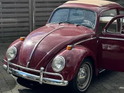 Rot Gebraucht 1969 VW Käfer Kleinwagen | 13.000 €