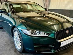 Grün Gebraucht 2016 Jaguar XE Portfolio Limousine | 13.990 € (Etwas zu teuer)
