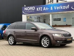 Braun Gebraucht 2013 Skoda Octavia Elegance Kombi | 9.799 € (Fairer Preis)