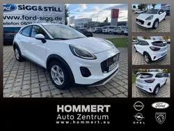 Cactus grey Neu 2025 Ford Puma Titanium Kleinwagen | 23.990 € (Guter Preis)