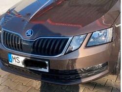 Braun Gebraucht 2018 Skoda Octavia Style Kombi | 16.900 € (Etwas zu teuer)