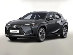 Grau Neu 2025 Lexus UX 300e Luxury Line SUV | 33.988 € (Fairer Preis)