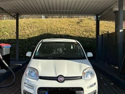 Weiß Gebraucht 2020 Fiat Panda Lounge Kleinwagen | 8.899 € (Fairer Preis)