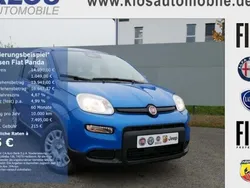 Blau Gebraucht 2024 Fiat Panda Kleinwagen | 13.990 € (Fairer Preis)