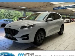 Weiß Neu 2024 Ford Kuga ST-Line X SUV | 36.882 € (Fairer Preis)