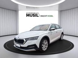 Candyweiss Gebraucht 2022 Skoda Octavia Kombi | 22.949 € (Superpreis)