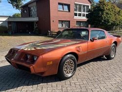 Braun Gebraucht 1980 Pontiac Trans Am Coupé | 20.000 €