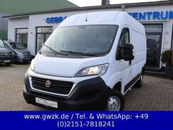 Weiss Gebraucht 2019 Fiat Ducato Van | 17.950 € (Fairer Preis)