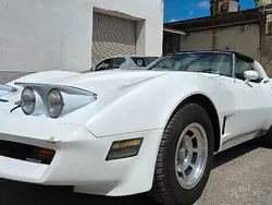 Weiß Gebraucht 1981 Chevrolet Corvette Stingray | 14.900 €