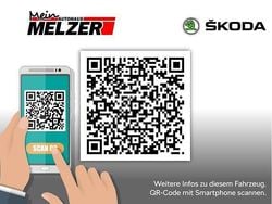 Grau Neu 2025 Skoda Fabia Tour Limousine | 24.880 € (Teuer)