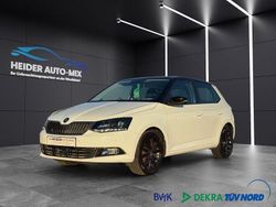 Weiß Gebraucht 2015 Skoda Fabia Style Kleinwagen | 13.999 € (Etwas zu teuer)