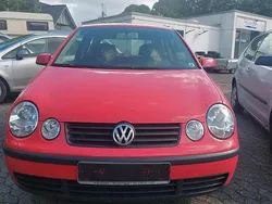 Rot Gebraucht 2002 VW Polo Kleinwagen | 1.950 € (Etwas zu teuer)