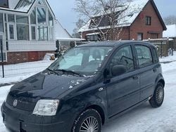 Blau Gebraucht 2009 Fiat Panda Kleinwagen | 1.599 € (Fairer Preis)