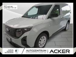 Cactus grey Neu 2025 Ford Transit Trend Van / Kleinbus | 22.490 € (Guter Preis)