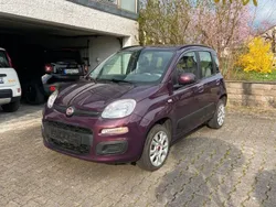 Violet Gebraucht 2013 Fiat Panda Lounge Kleinwagen | 5.700 € (Etwas zu teuer)