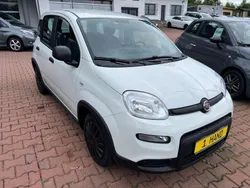 Weiß Gebraucht 2023 Fiat Panda Kleinwagen | 12.499 € (Fairer Preis)
