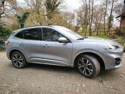 Silber Gebraucht 2024 Ford Kuga ST-Line X SUV | 29.500 € (Superpreis)