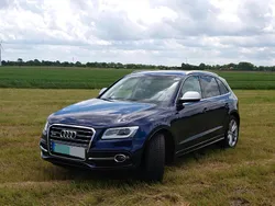 Blau Gebraucht 2014 Audi SQ5 SUV | 21.500 € (Teuer)