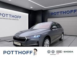 Grau Neu 2025 Skoda Octavia Selection Kombi | 38.940 € (Fairer Preis)