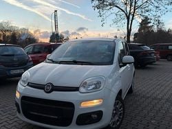 Weiß Gebraucht 2016 Fiat Panda Kleinwagen | 8.250 €