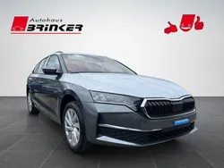 Grau Neu 2025 Skoda Octavia Selection Kombi | 36.690 € (Etwas zu teuer)