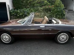 Braun Gebraucht 1981 Alfa Romeo Spider Cabrio | 20.000 €