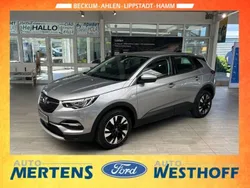 Grau Gebraucht 2021 Opel Grandland X Elegance SUV | 19.550 € (Guter Preis)