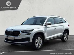 Weiß Gebraucht 2022 Skoda Kodiaq Ambition SUV | 28.950 € (Guter Preis)