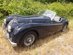 Blau Gebraucht 1957 Jaguar XK S Cabrio | 119.850 €