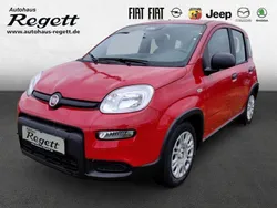 Rot Neu 2024 Fiat Panda Kleinwagen | 15.990 €