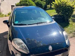 Blau Gebraucht 2012 Fiat Punto Kleinwagen | 1.799 € (Fairer Preis)
