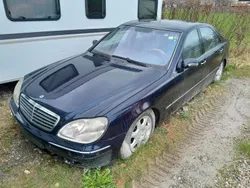 Blau Gebraucht 2001 Mercedes S430 Limousine | 1.600 €