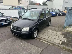 Schwarz Gebraucht 2004 Fiat Panda Dynamic Kleinwagen | 2.200 € (Fairer Preis)